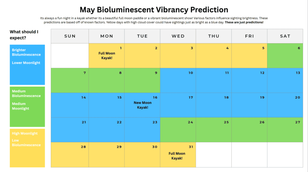 best times to see bioluminescence in may on Orcas Island