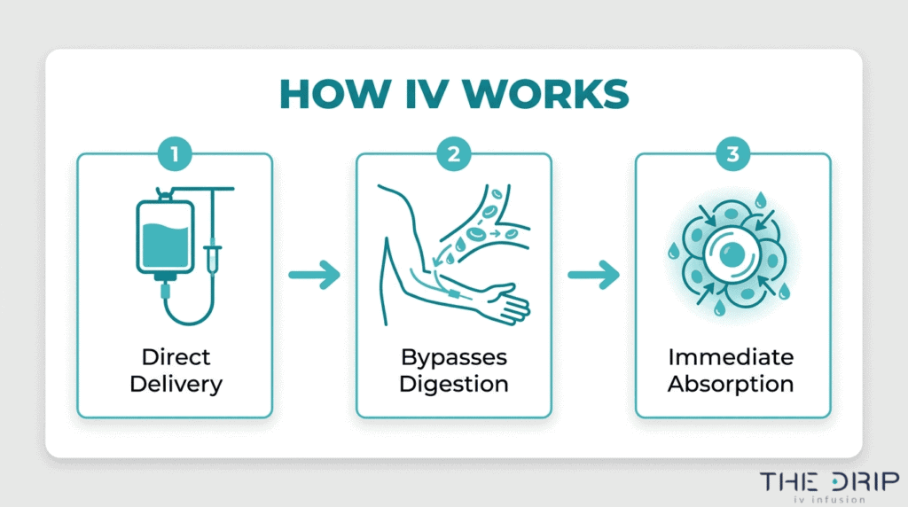 How IV hydration works diagram showing direct delivery, bypassed digestion, and immediate absorption