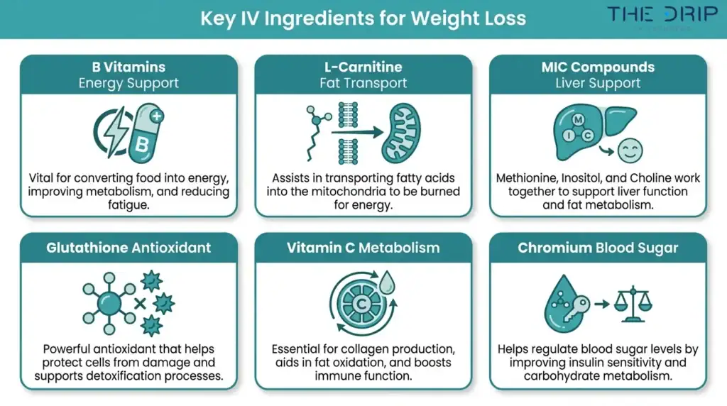 IV therapy ingredients infographic showing B vitamins, L-carnitine, MIC compounds, glutathione, vitamin C, and chromium for weight loss support.
