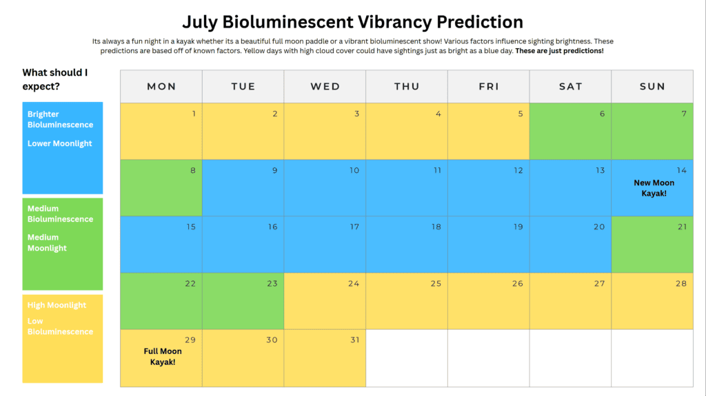 Best Time to see Bioluminescence in July on Orcas Island