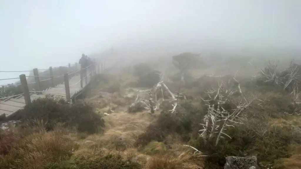 漢拿山靈室路線