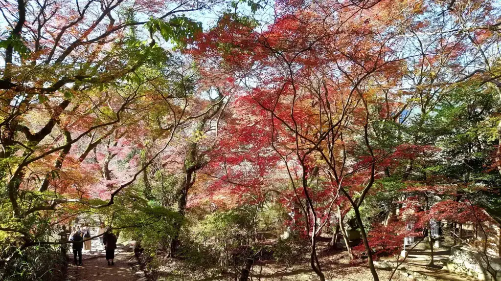 秋月城跡 紅葉