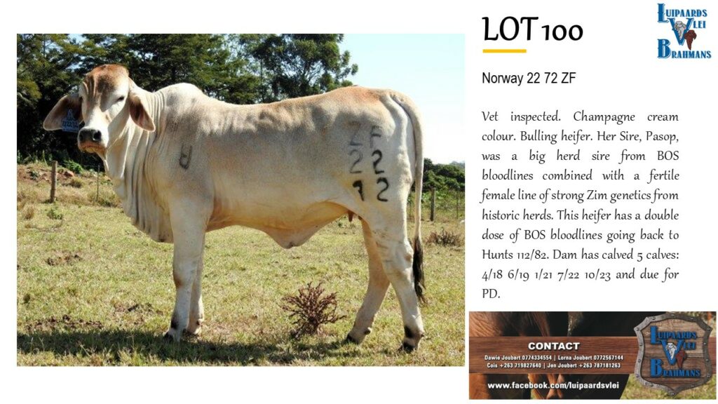 LOT 100