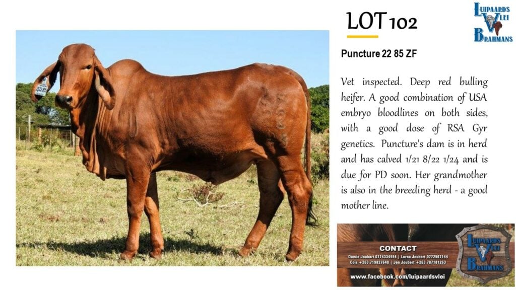 LOT 102