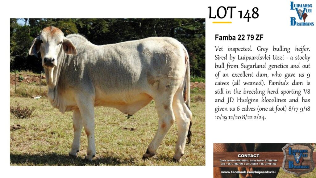 LOT 148