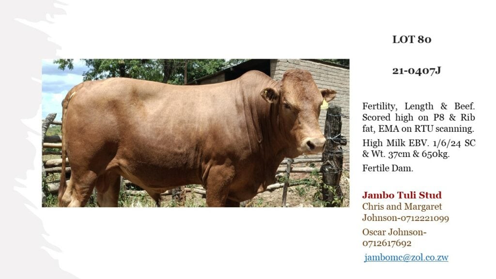 LOT 80