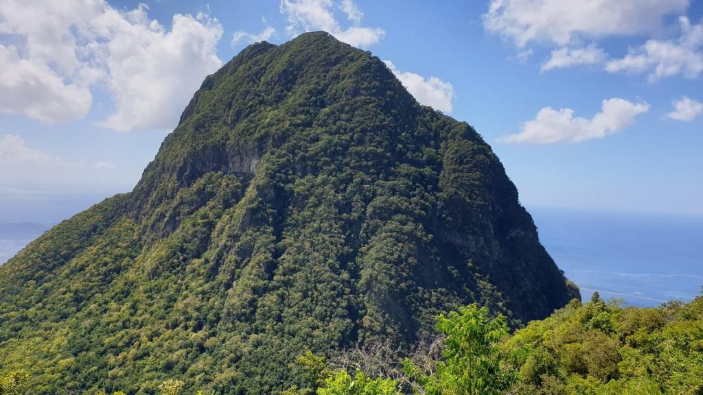 Pitons St. Lucia