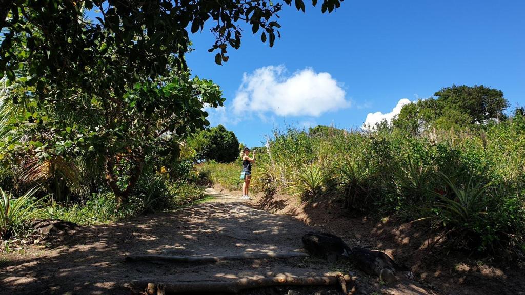 Ted Paul Nature Trail