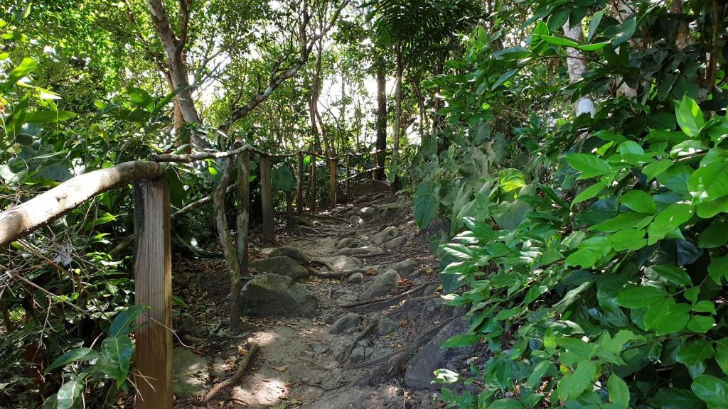 Ted Paul Nature Trail