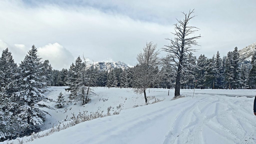 KANADA URLAUB KANADA REISE RUNDREISE ANGEBOTE visual data 5