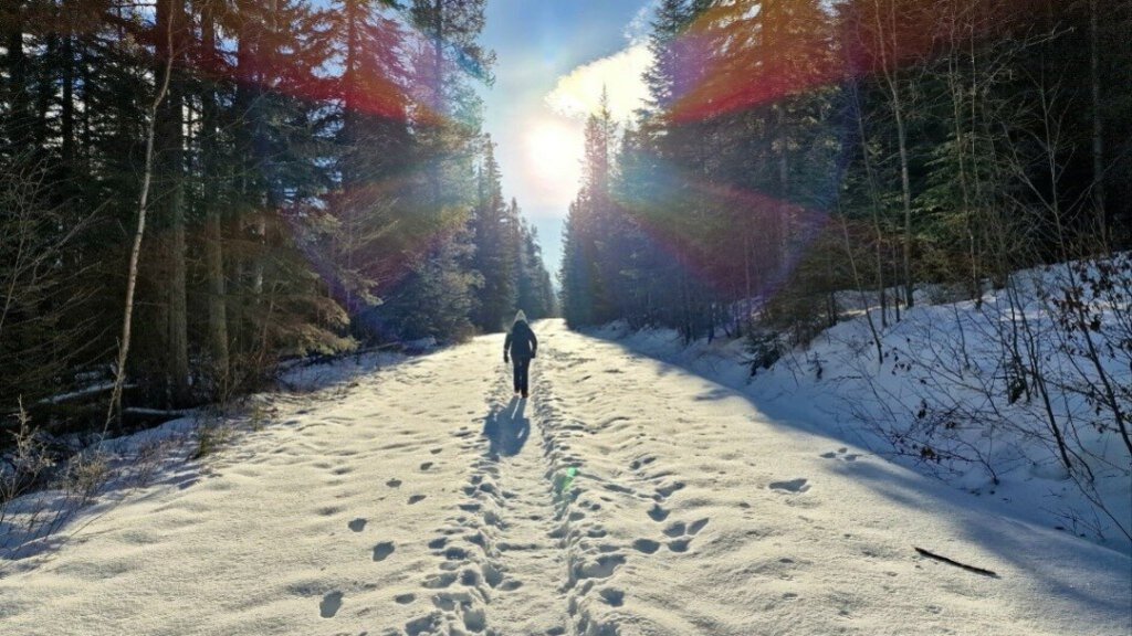 Wapta Falls, zwei Kilometer bis zum eigentlichen Parkplatz in Kanada im Winter