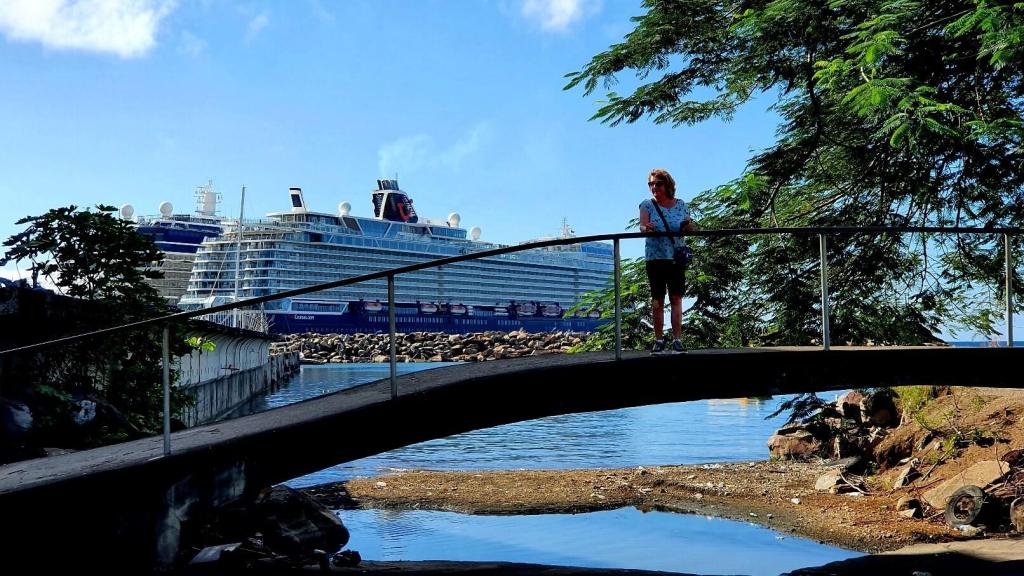 Die Mein Schiff 2 im Hafen von Basseterre