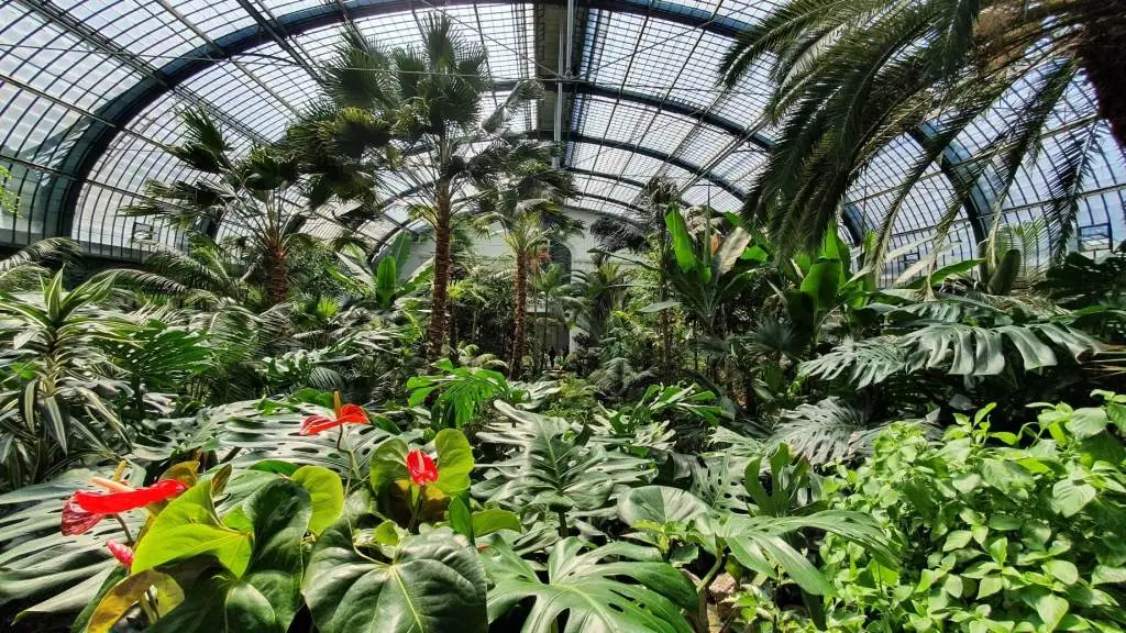 Palmenhaus in Frankfurt