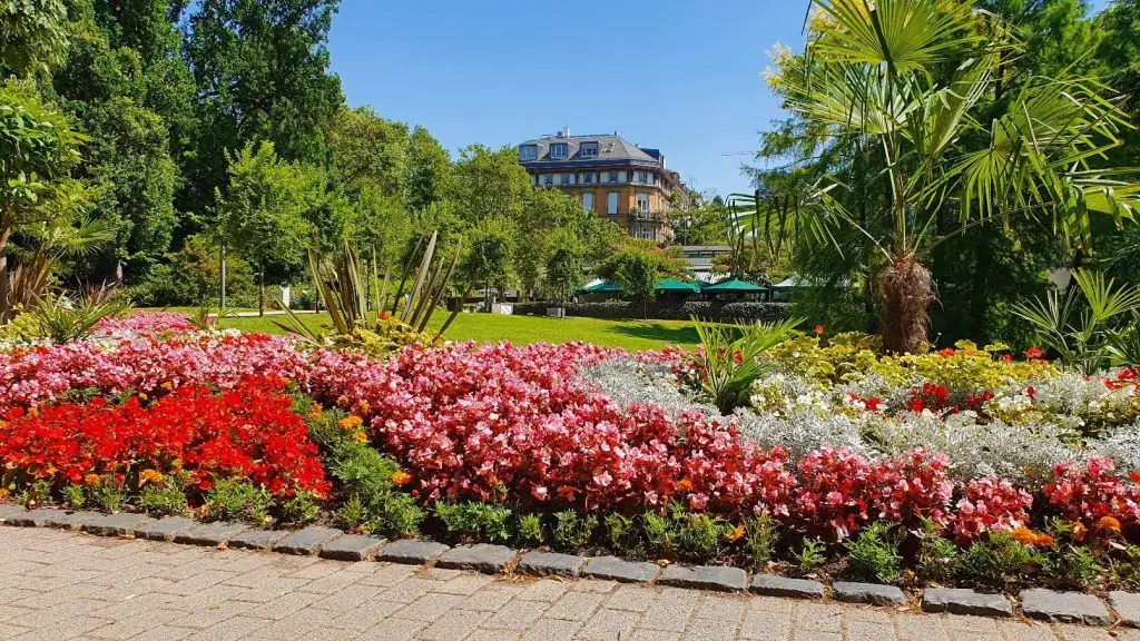 Palmengarten in Frankfurt