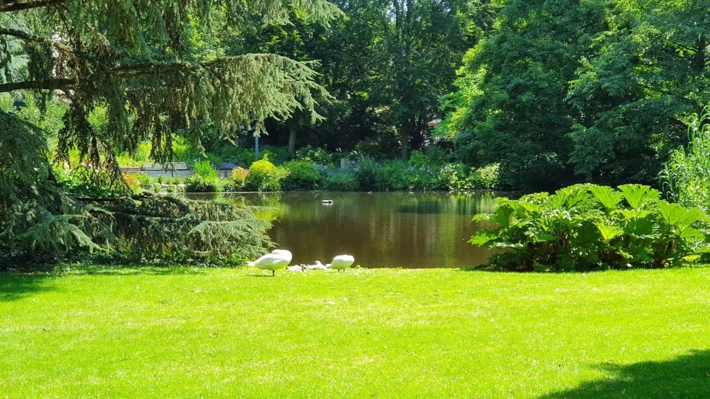 Palmengarten in Frankfurt