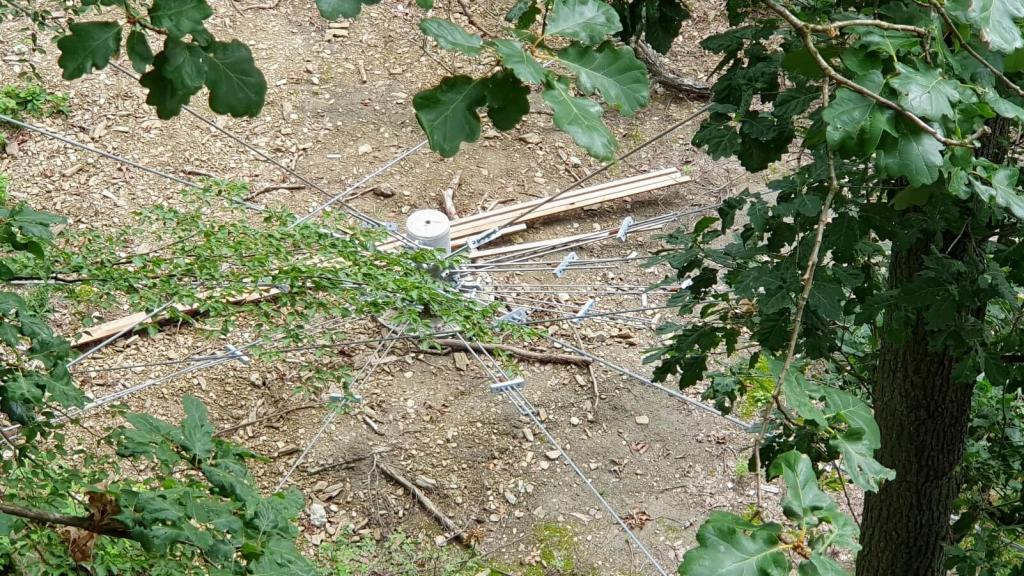 Unmengen an Stahlseilen sichern die Konstruktion