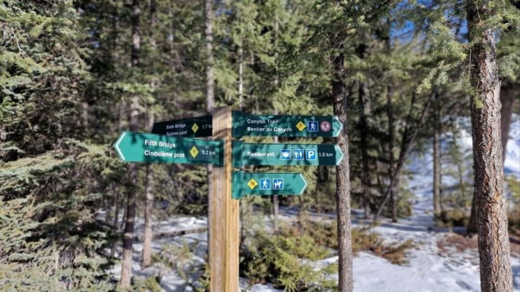 Verschiedene Wanderwege im Maligne Canyon