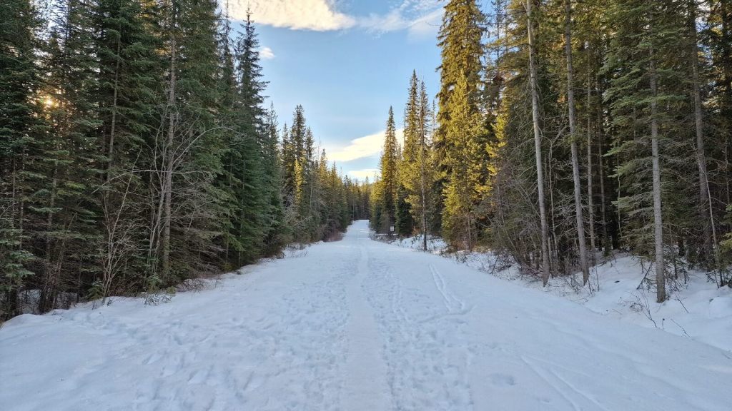 Wanderung im Winter im Yoho National Park