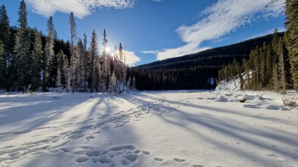 schneebedeckter Kicking Horse River