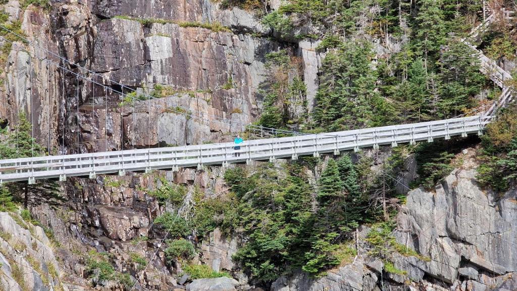 La Manche Suspension Bridge