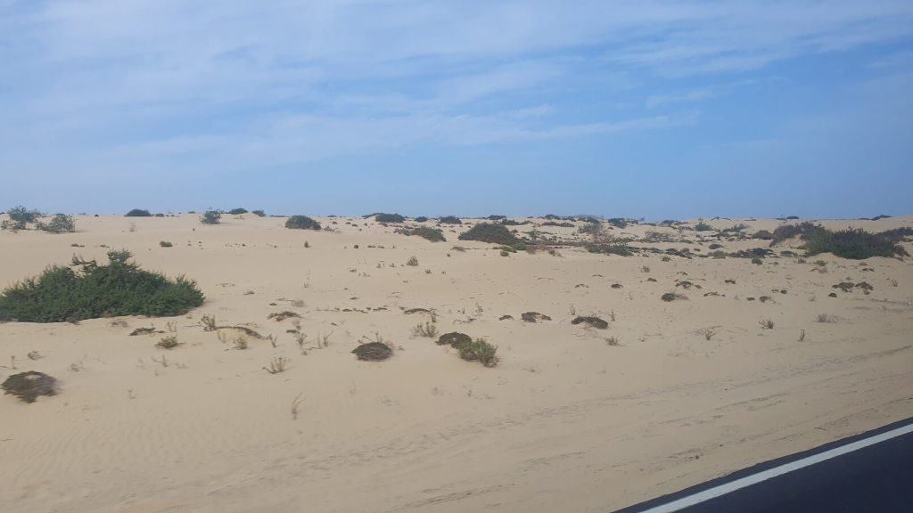 Blick auf die Dünen von Corralejo