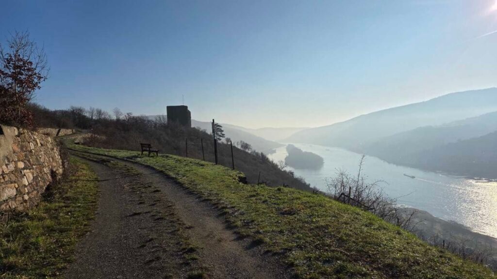 Toller Wanderweg mit Aussichten auf den Rhein