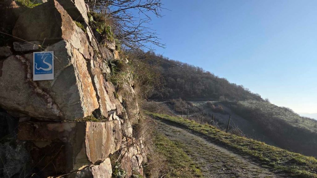 Wisper Trails im Rheingau