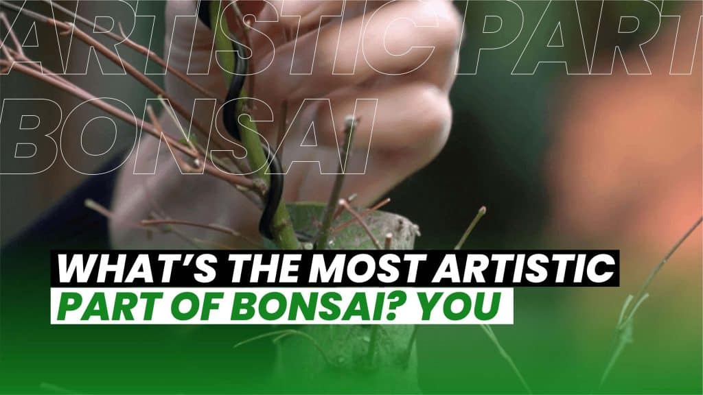 Most Artistic Part of Bonsai