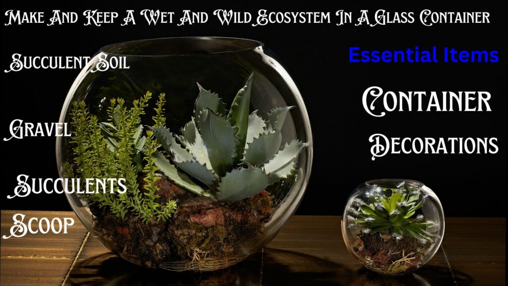 Make And Keep A Wet And Wild Ecosystem In A Glass Container