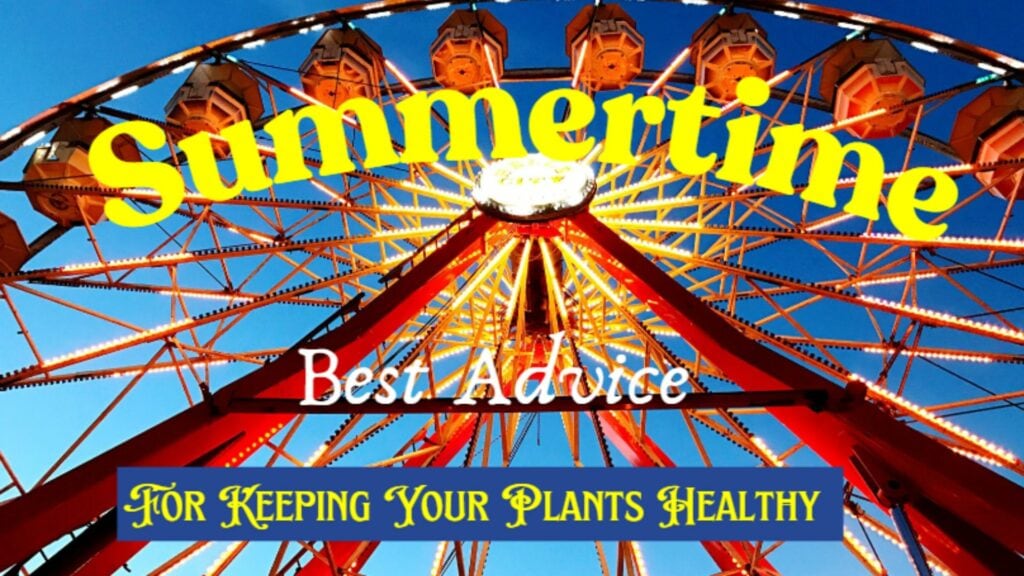 Summertime Best Advice - Hero