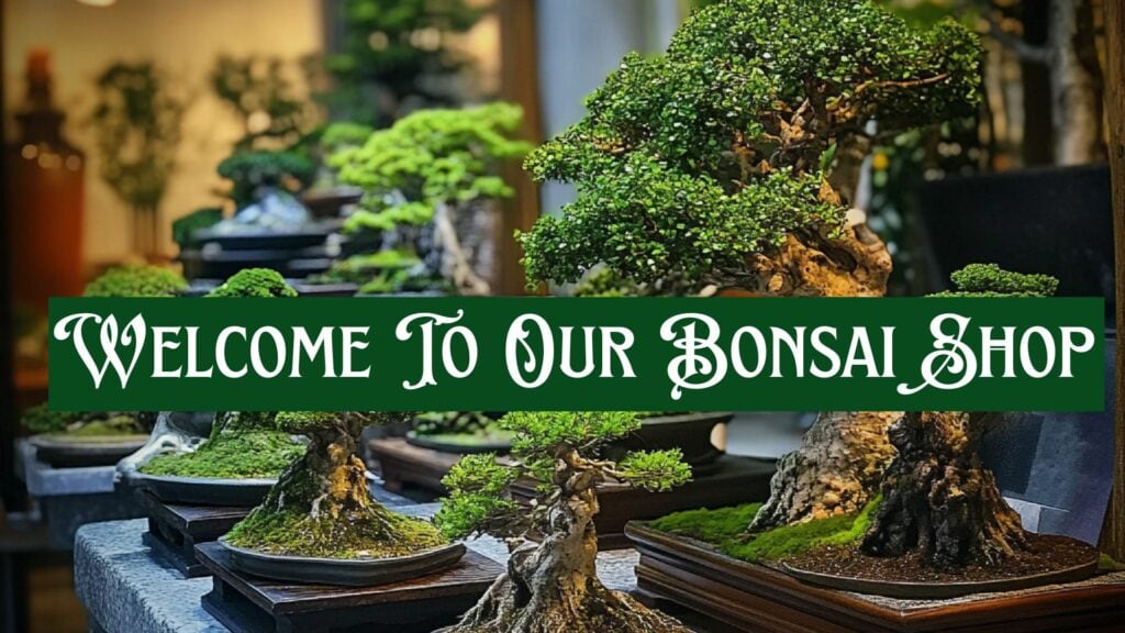 Welcome To Our Bonsai Shop