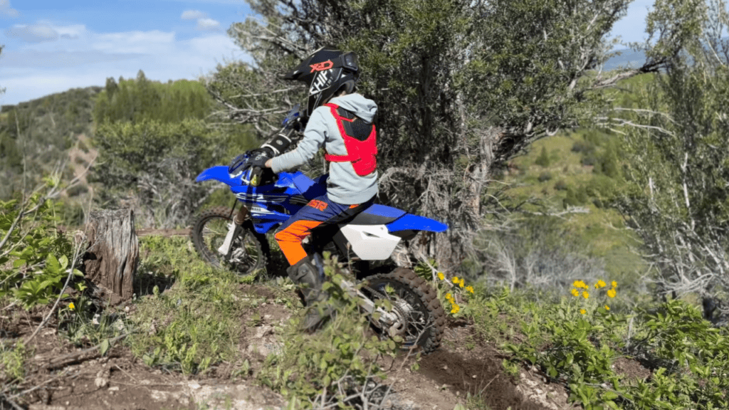 Best dirt bike tires for kid bikes 18 Factors to Consider When Choosing Tires for Kid Bikes
