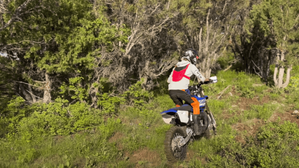 Best dirt bike tires for kid bikes 1 Importance of choosing the right dirt bike tires for kids