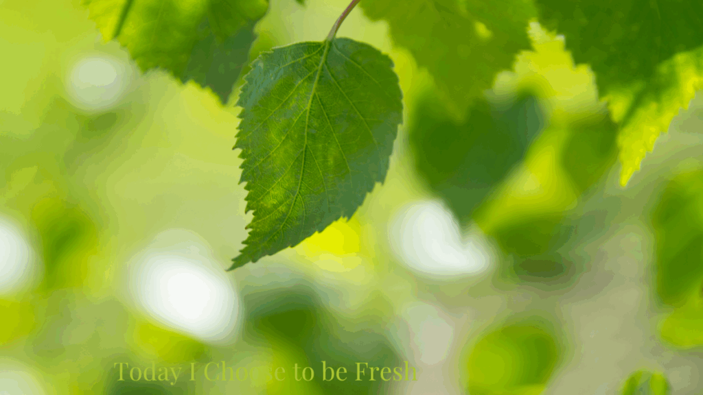 How to Be Fresh