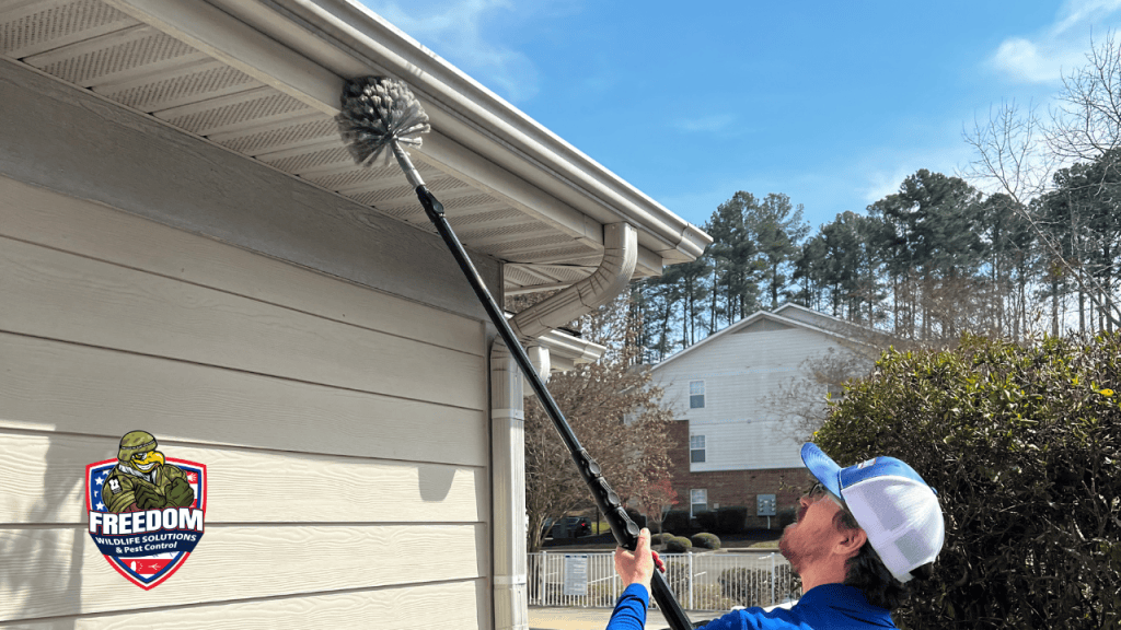 Freedom Wildlife Solutions technician de-webbing a home's exterior during a pest service in Raleigh, NC