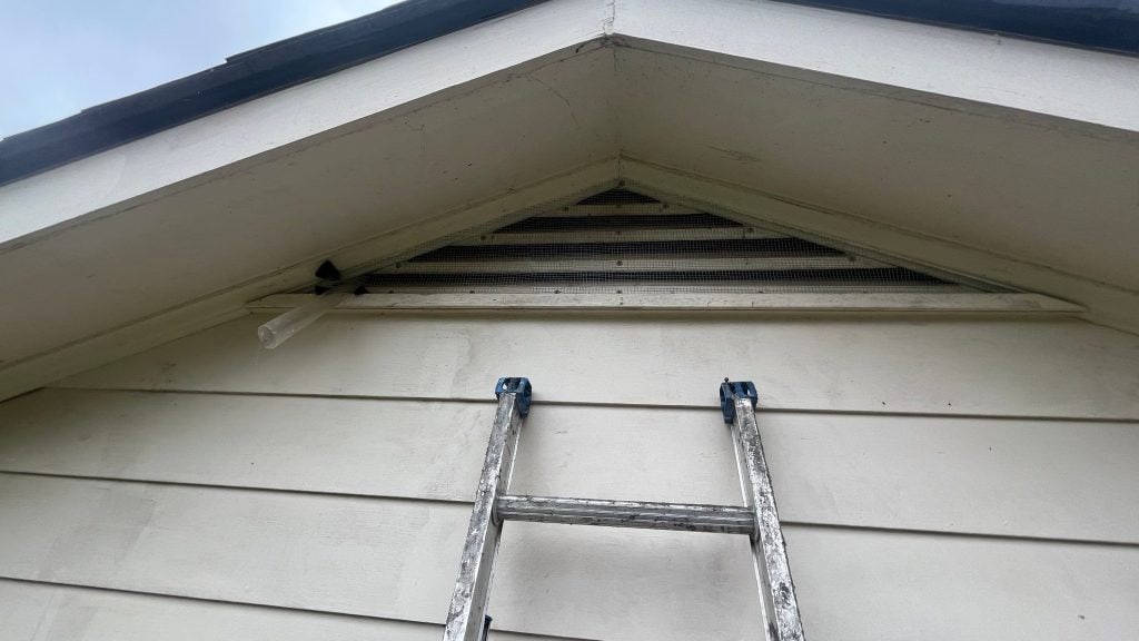 Bat valve installed in gable vent to evict bat colony.