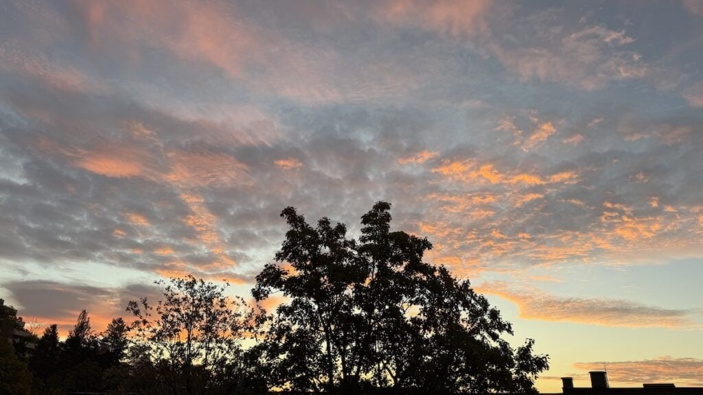 Sonnenaufgang am Freitagmorgen