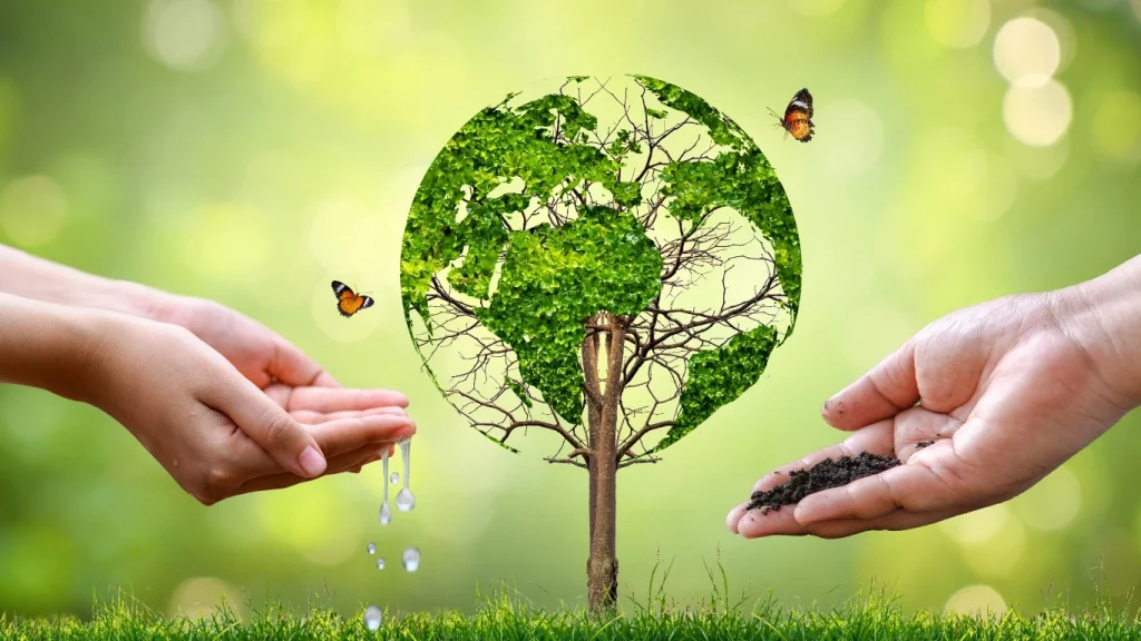 Prepared Environment