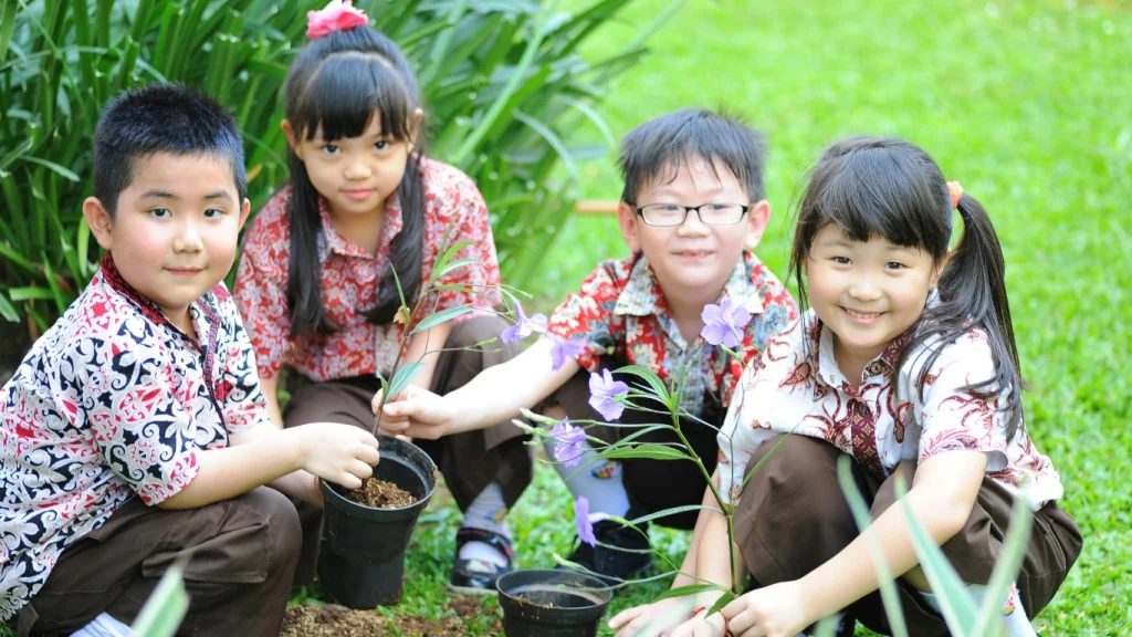 Gardening and Outdoor Activities