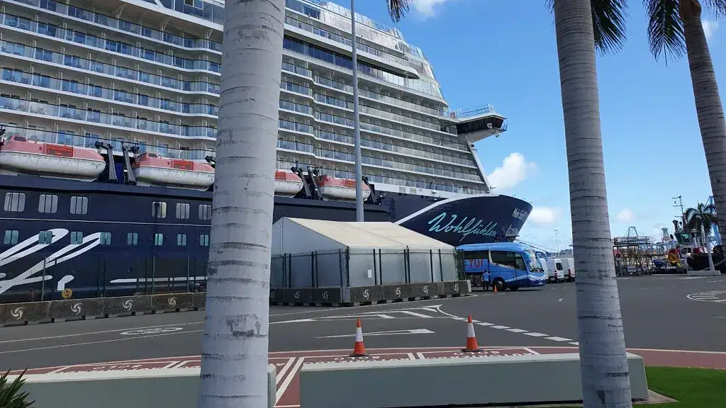 Im Vordergrund Palmen, im HIntergrund im Anschnitt die Mein Schiff 2