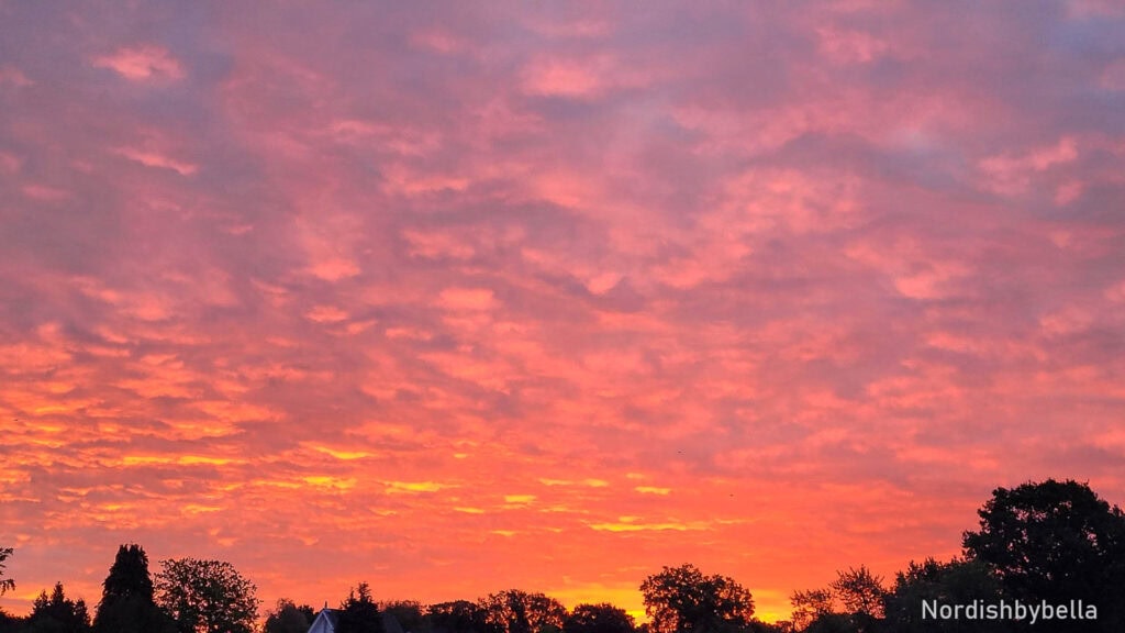 Bunter Sonnenuntergang über Bäumen mit Preset bearbeitet