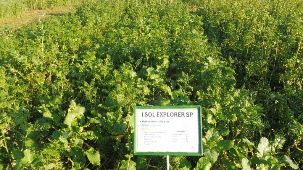 I Sol Explorer, mélange à la gamme Noriap