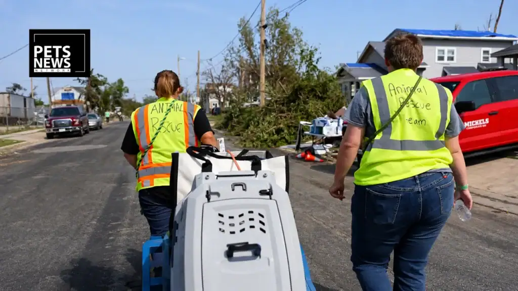 Volunteers Reunite Menasha Tornado Victims With Their Lost Pets