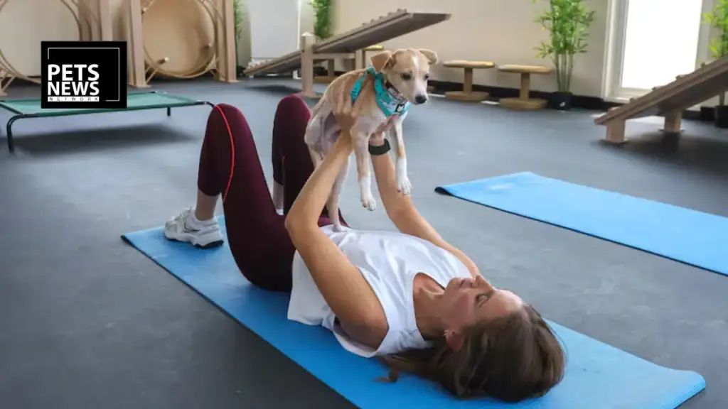 Vets, Gyms and Grooming Under One Roof- Inside the UAE's New Wellness-First Pet Care Revolution