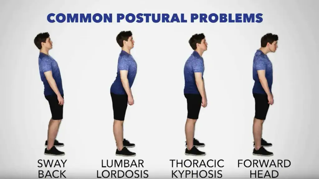 postural-disorders-causing-lower-back-pain-infographic.jpg