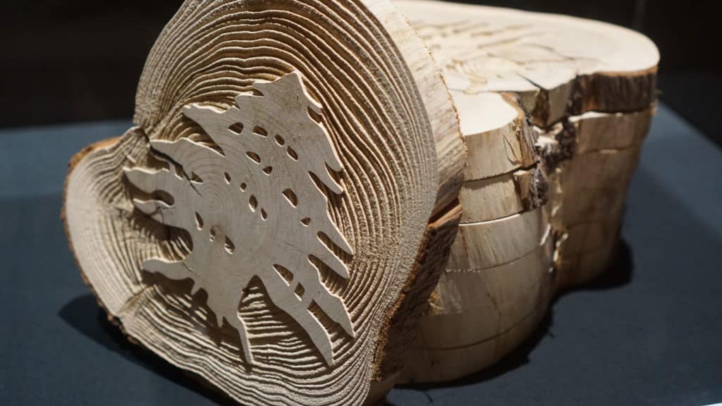 Campbell River Art Gallery - Translations