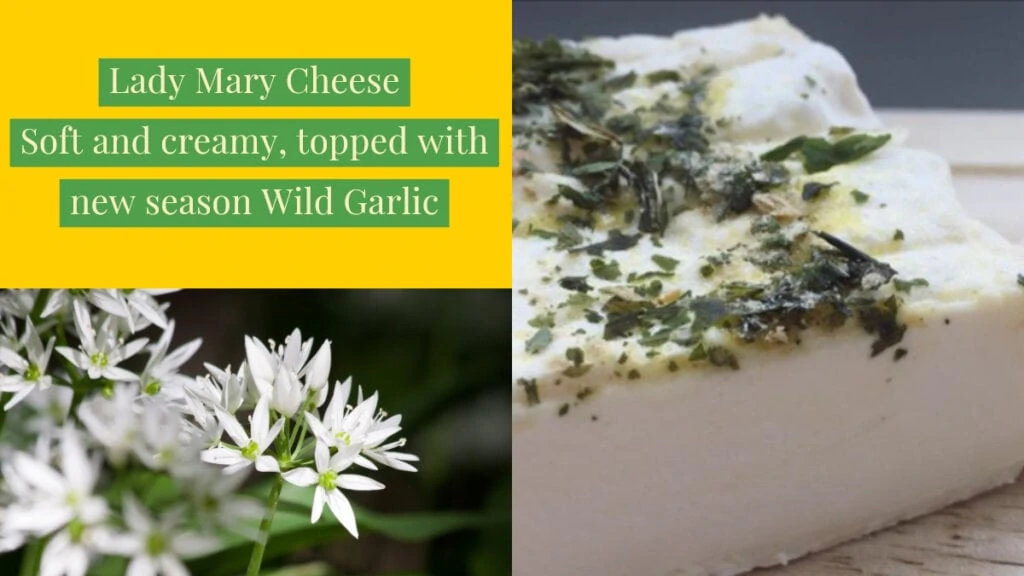 Strathearn Cheese - Local Artisan Scottish Cheesemaker
