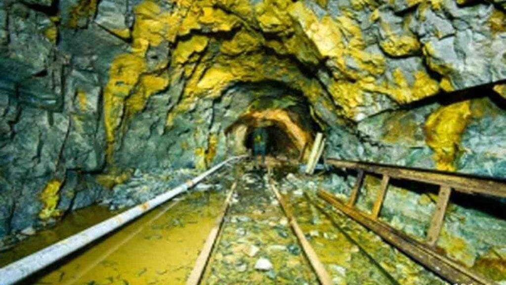 Saudi Arabia wants to partner in Reko Diq