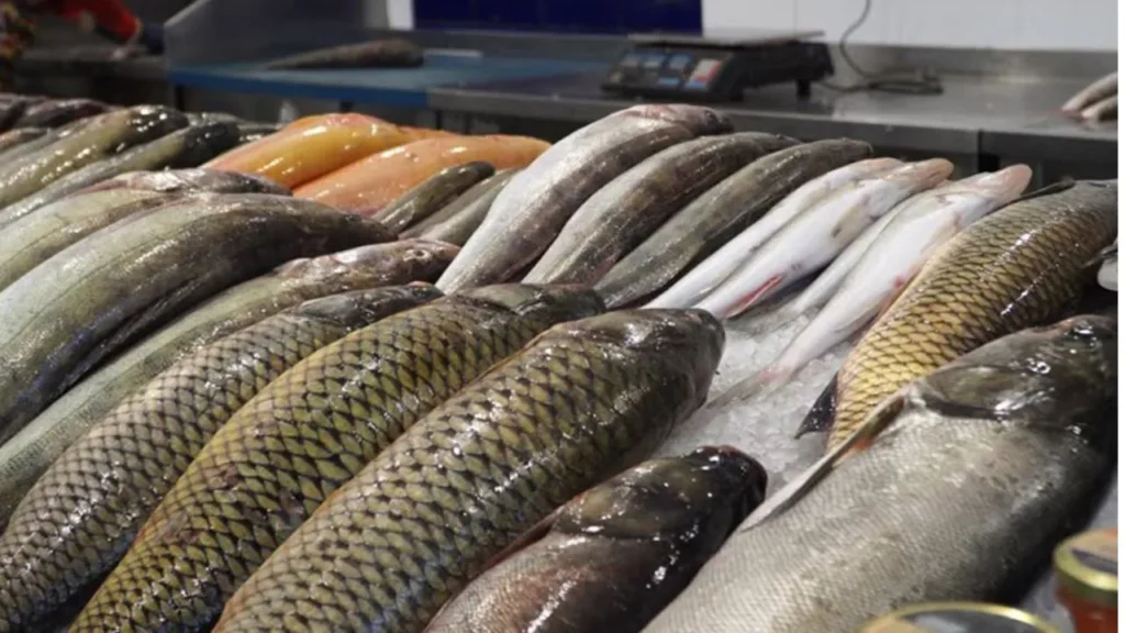 U.S grants two year extension to Pakistani fish imports