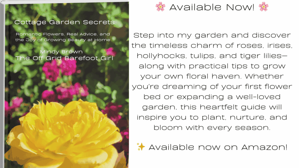 Cottage garden.